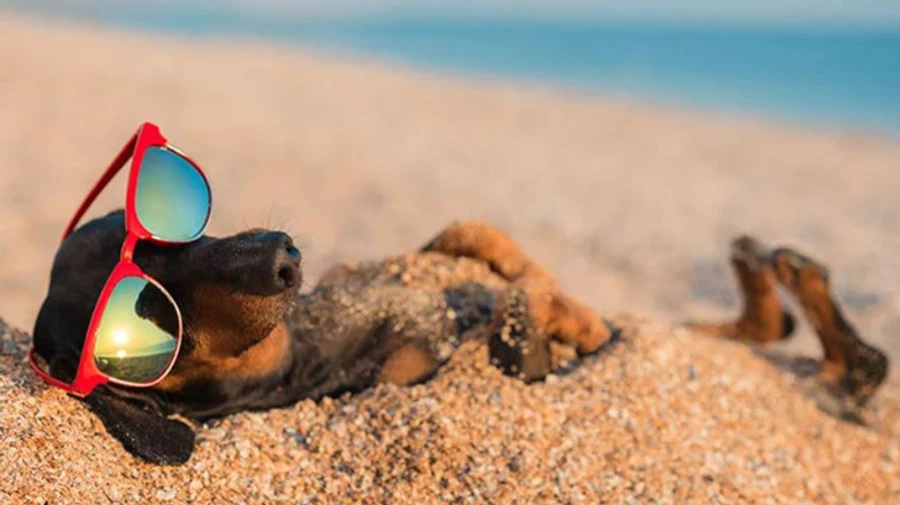 Україну ще прошкварить до 36 градусів, а далі – спека вщухне