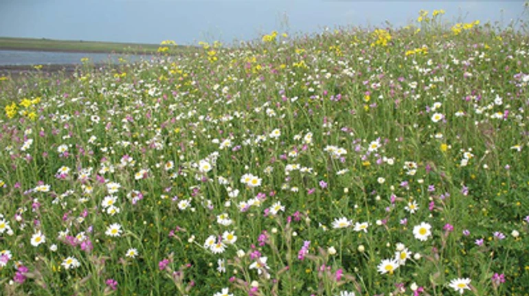 Долина Курганів: унікальна пам’ятка, яка може зникнути до того як стане відомою українцям