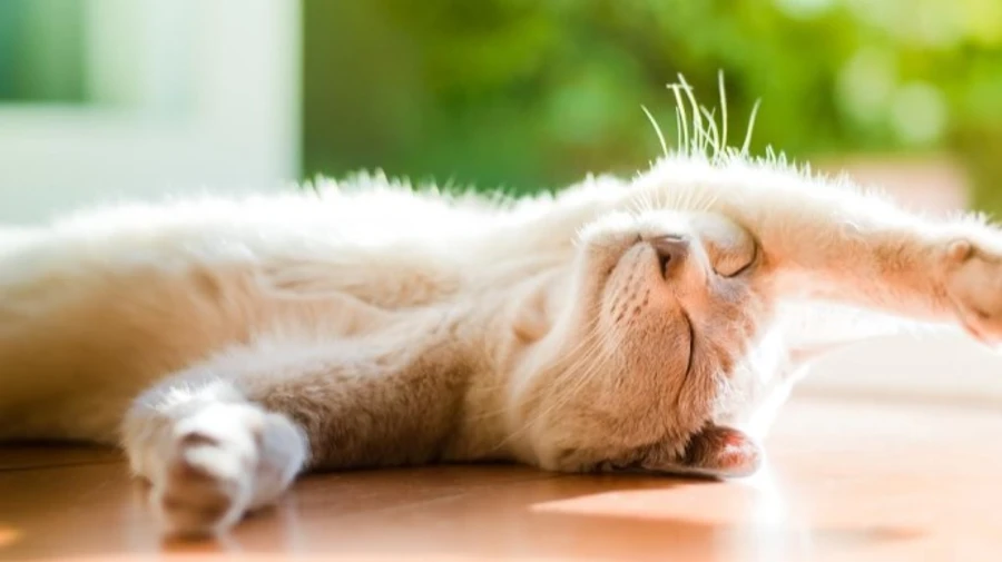 Синоптики рассказали, когда придет потепление