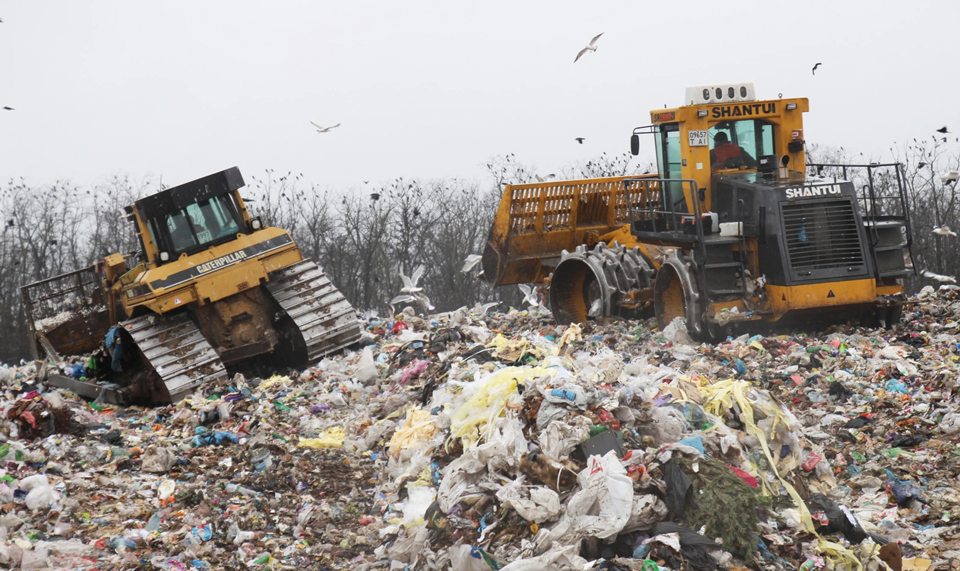 У нас тут чайки, як на курорті. Куди везуть сміття з Києва і що з ним далі відбувається