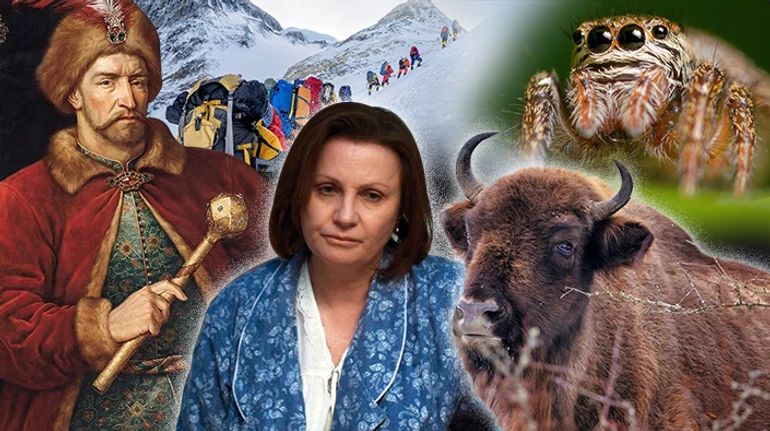 О казаках, пауках и Друзьях: самые интересные тесты 2024 года, которые вы могли пропустить