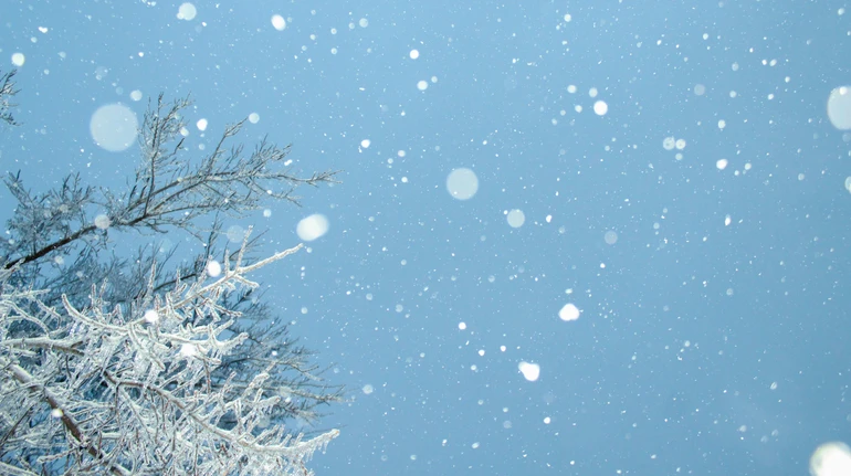 На Украину идут снегопады, в четверг - потепление