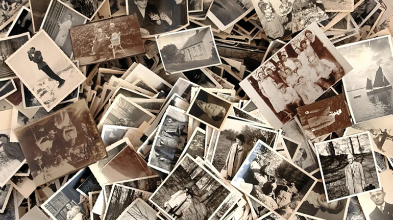 Слідами предків. Як дослідити своє родинне дерево та навіщо це потрібно