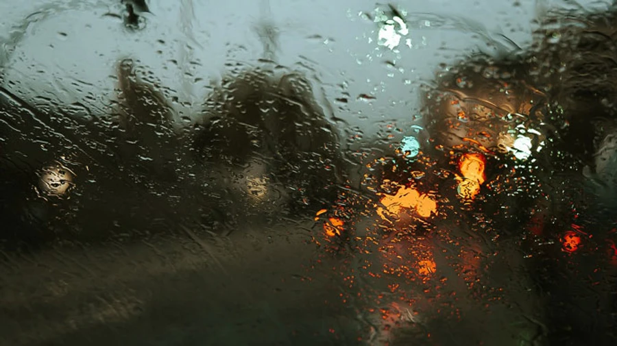 В ближайшие дни без осадков, на Новый год местами дождь 