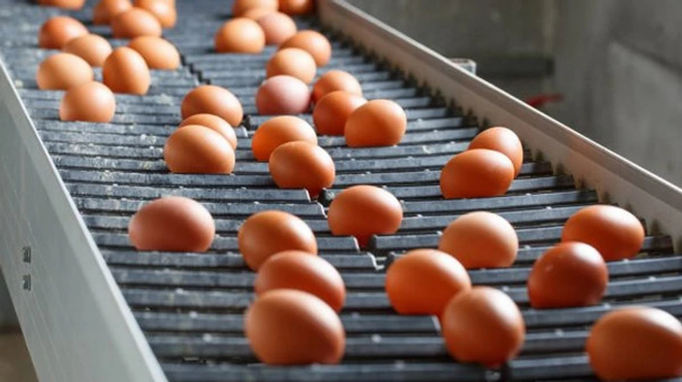 Война спровоцировала рост цен на яйца – 50–70 гривень за десяток. Как это произошло?