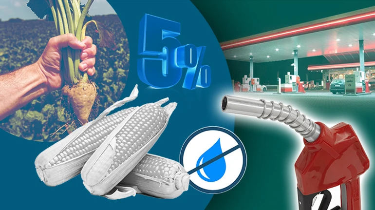 Бензин в Украине начнут смешивать со спиртом. Что будет с ценами и навредит ли это авто?