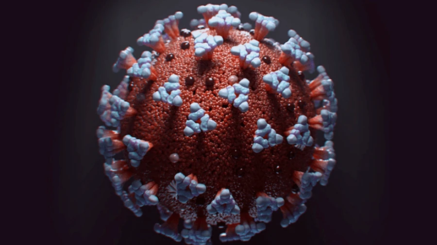 Україна опинилася на 4 місці в Європі за смертністю від COVID