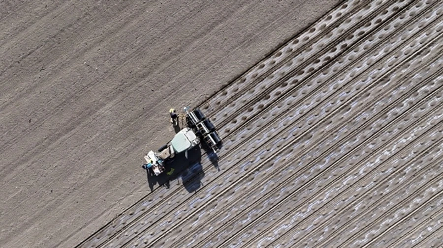 EU ambassadors approve tougher duties on Russian and Belarusian agricultural products