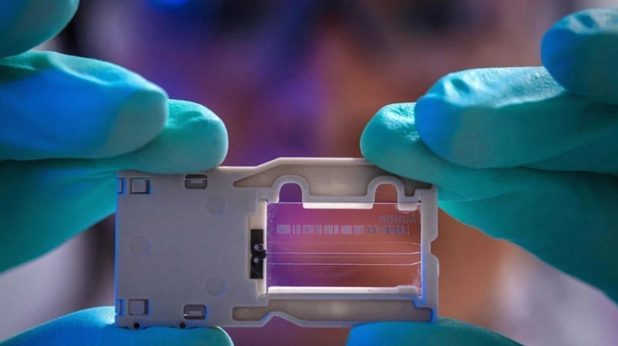 На Днепропетровщине умерли 2 из 15 самовольно выписанных пациентов с COVID-19