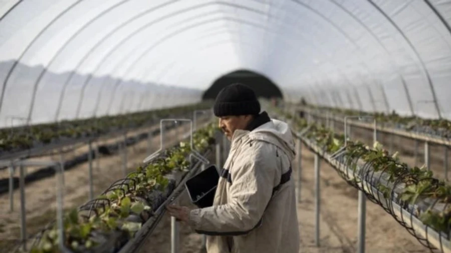 Германия пока не согласовывала с Украиной приезд сезонных рабочих