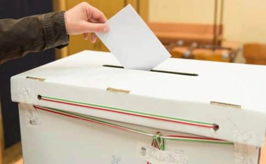 Сотни закарпатцев возили автобусами в Венгрию голосовать за власть – СМИ