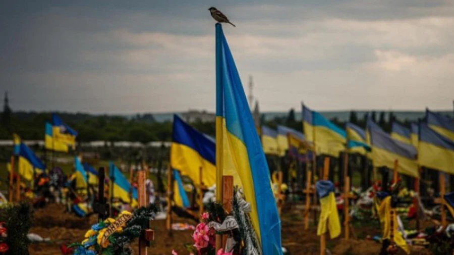 Перші ділянки військового меморіального кладовища планують закласти до кінця року – Мінветеранів