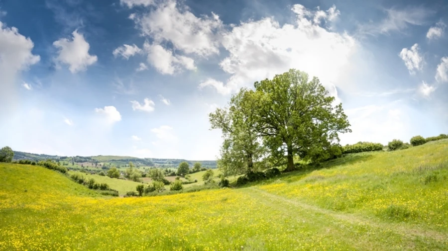 В ближайшие дни в Украине потеплеет: в большинстве регионов без осадков