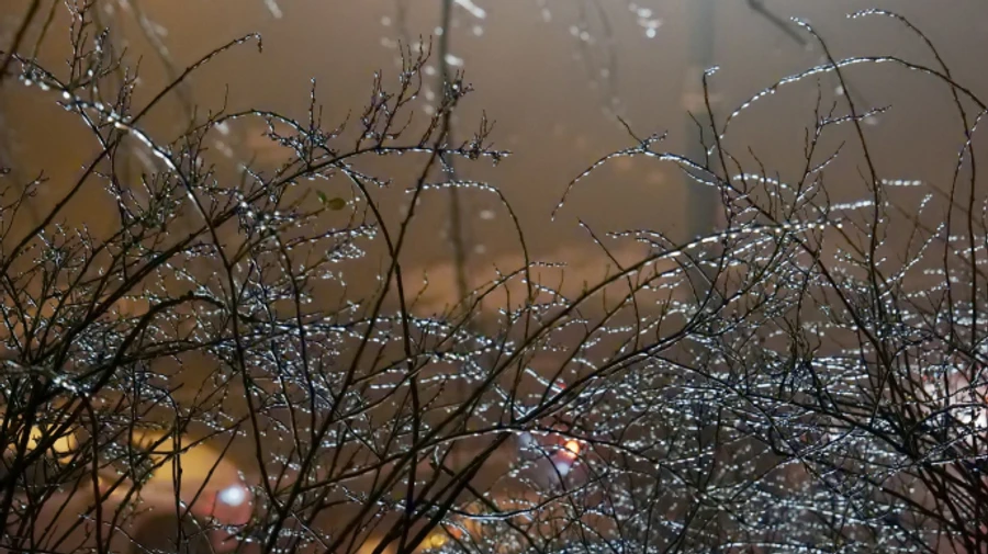 Украинцев предупреждают о тумане и гололедице на дорогах