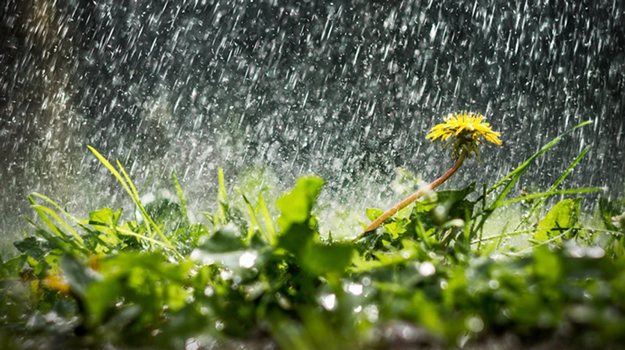 Погода на Великдень: до 23 тепла і грози