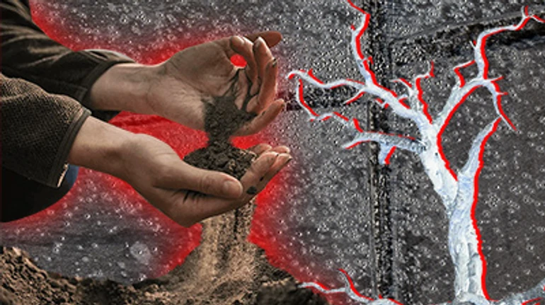 Hell on Earth. How Russian aggression is devastating Ukrainian black soil