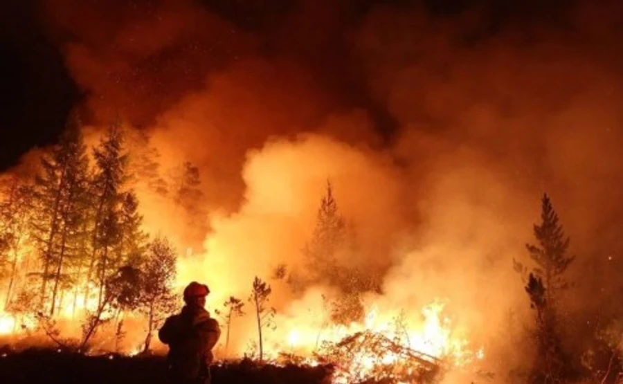 Пожары в Чернобыльской зоне: двум лицам вручили подозрения в поджоге