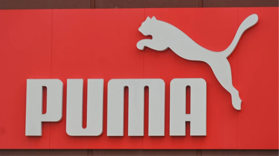 Russia destroys logistics complex storing PUMA products