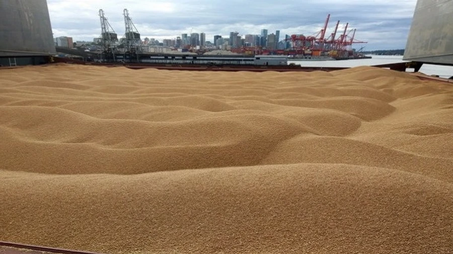 New Polish government will not lift Ukrainian grain import ban yet