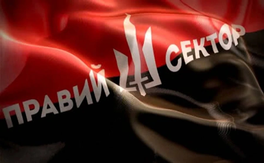 Правый сектор определился с кандидатами на довыборы в ВР