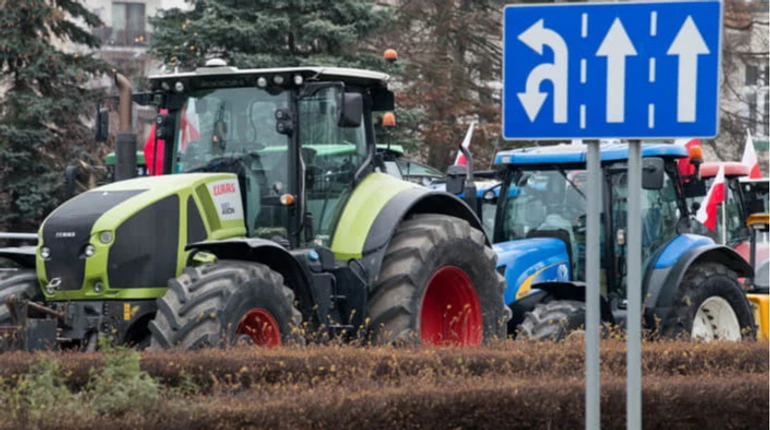 Переговори про їжу: чому українська аграрка лякає ЄС та чи заблокує вона наш вступ