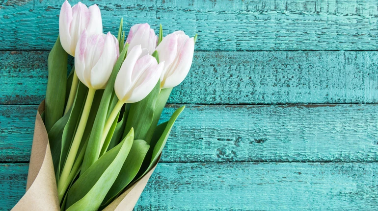 Профсоюз работников образования Украины призвал воздержаться от дарения цветов педагогам на 8 марта