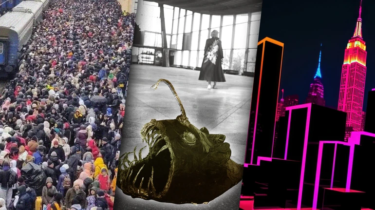 Я – та самая крыса, которая дала дёру с корабля. История бегства от войны