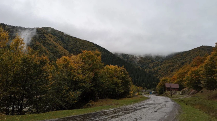 Синоптики дали прогноз на листопад