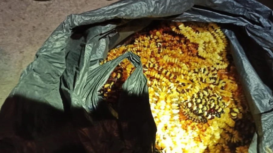 СБУ изъяла почти тонну янтаря, который хотели вывезти в Азию