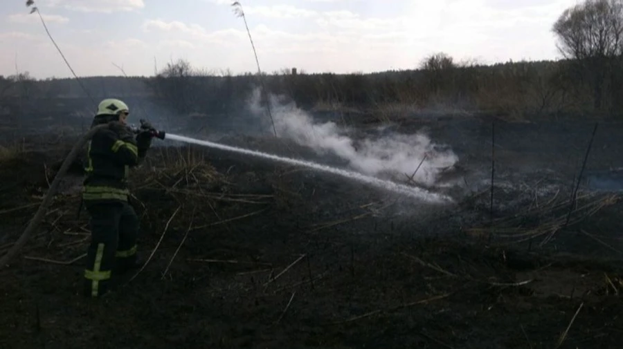 В Киеве горел торфяник