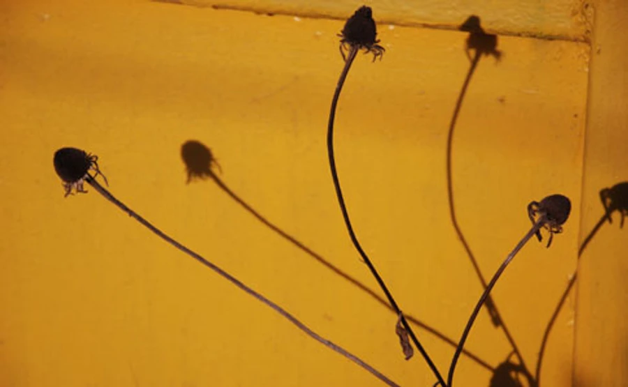 В ближайшие сутки о сонце можно только мечать – прогноз