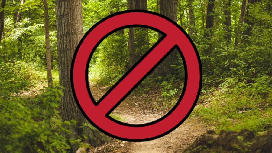 Вблизи границы с Беларусью на Волыни ввели полный запрет на посещение лесов