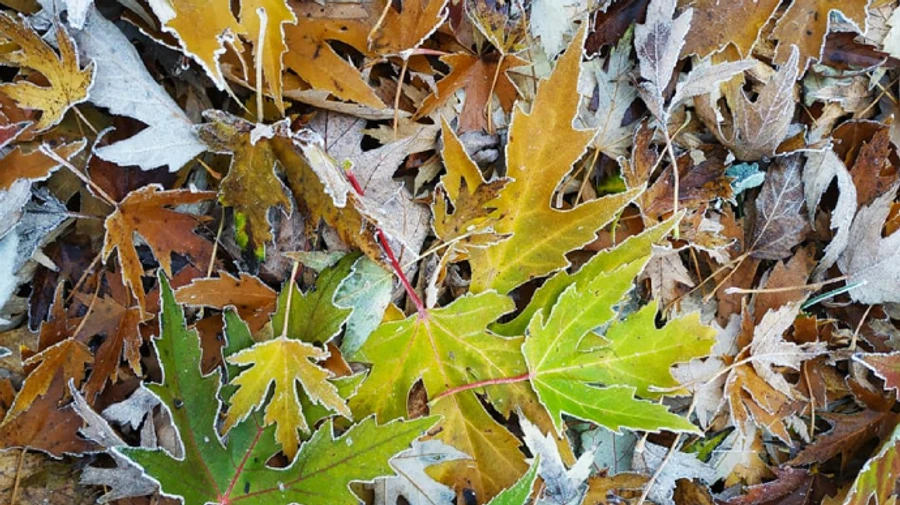 На востоке Украины - до 16° мороза