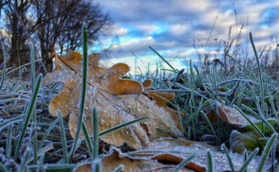 В останній тиждень вересня обіцяють заморозки, місцями сильні