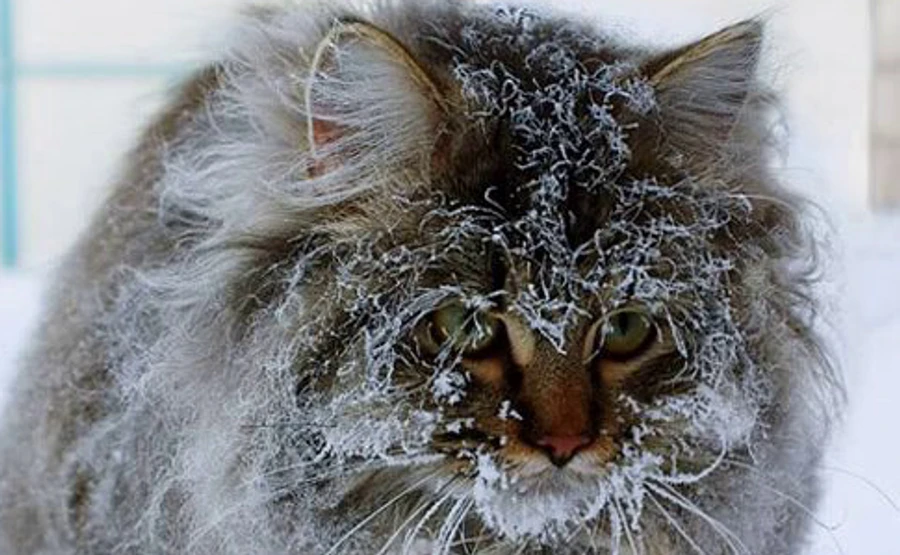 В Украину снова придут морозы