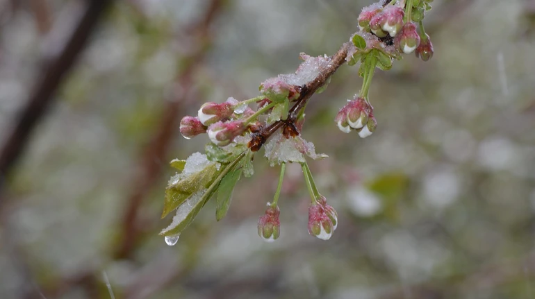 На вихідних в Україні дощитиме, в понеділок вночі прогнозують мінус і мокрий сніг