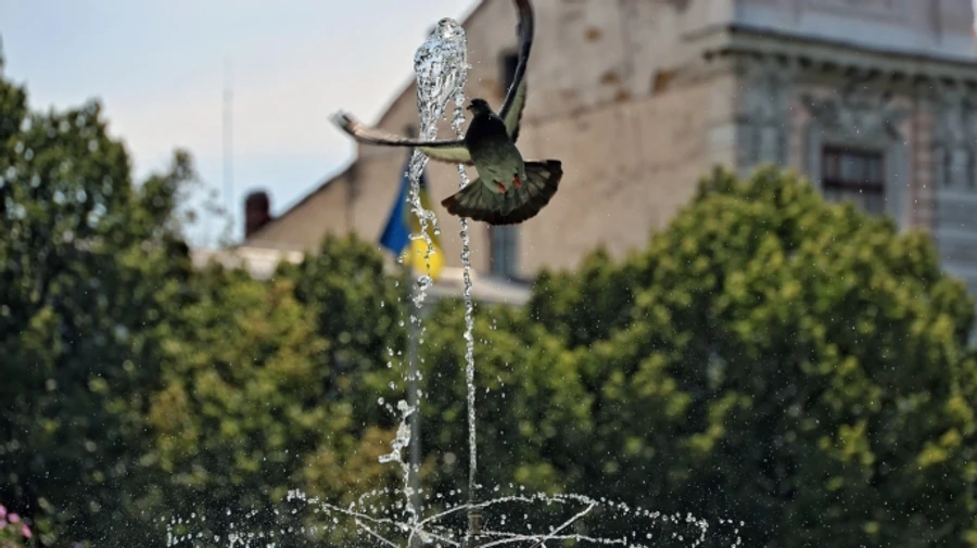 Сильная жара возвращается в Украину 