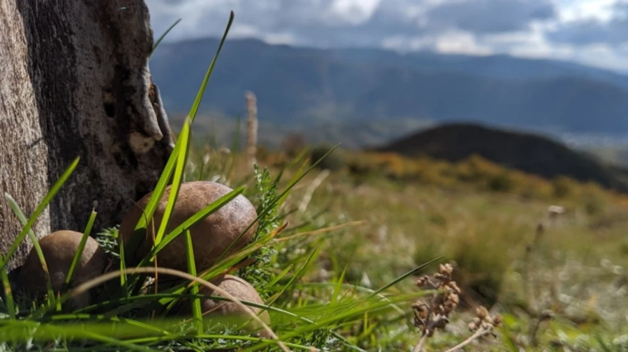 В Україні задощить і дещо відступить літня спека