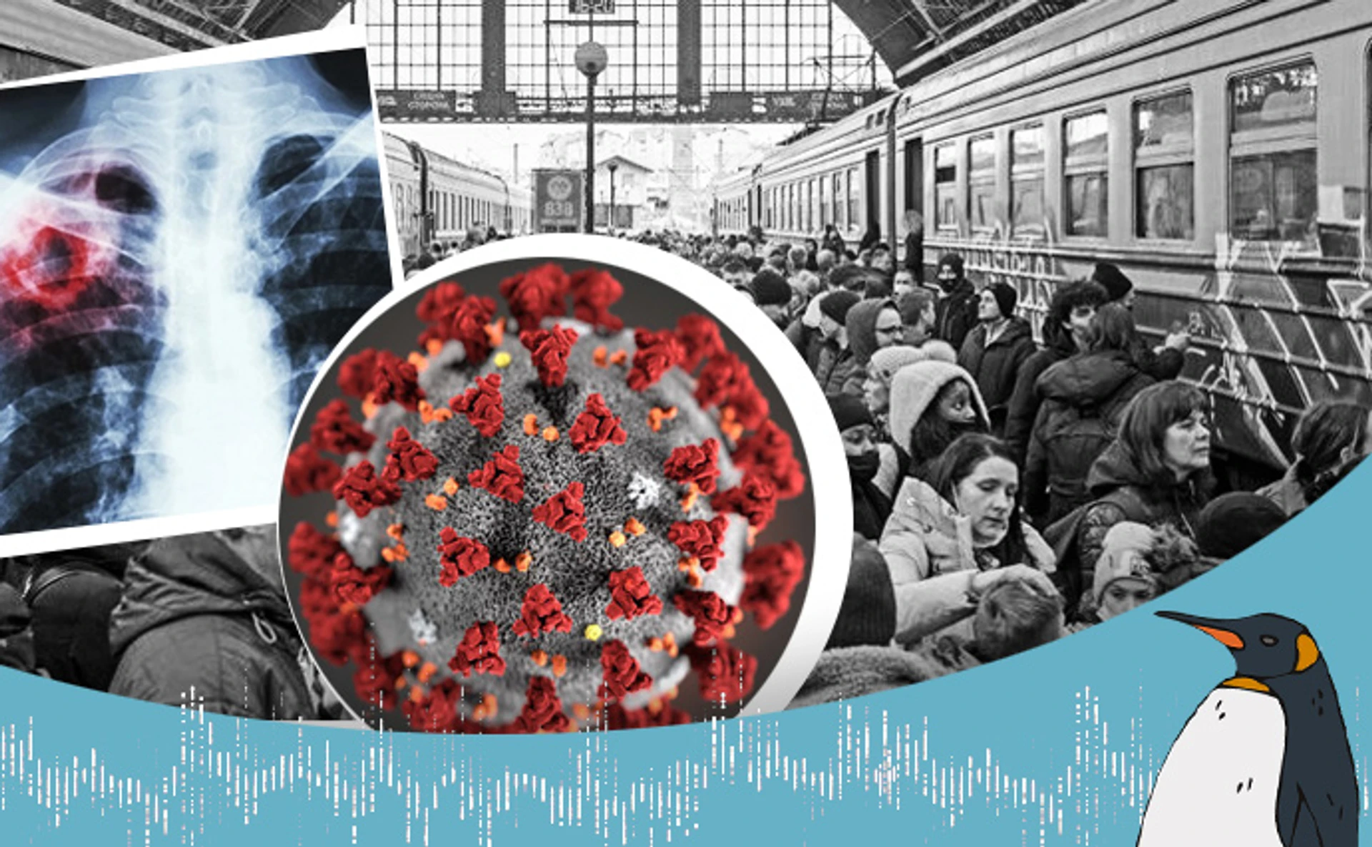 Як війна впливає на поширення інфекцій в Україні - розмова з інфекціоністом