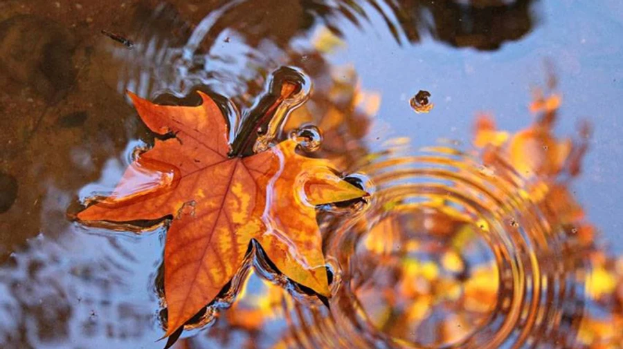 Часть Украины зальют дожди, на остальной территории – сухо и тепло