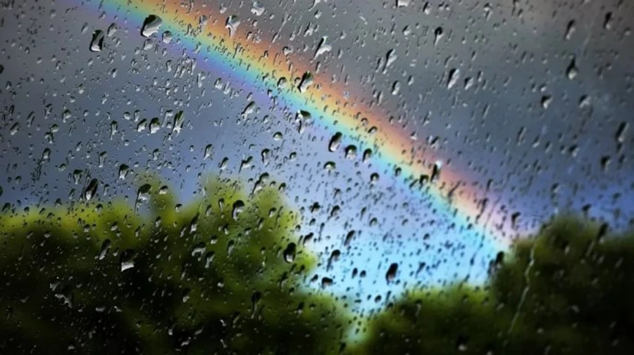 Днями в Україні утримається спекотна погода, місцями дощі