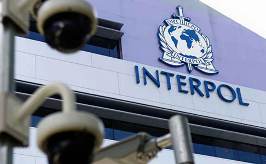 Интерпол во Франции задержал организатора титушек, который руководил Крысиным