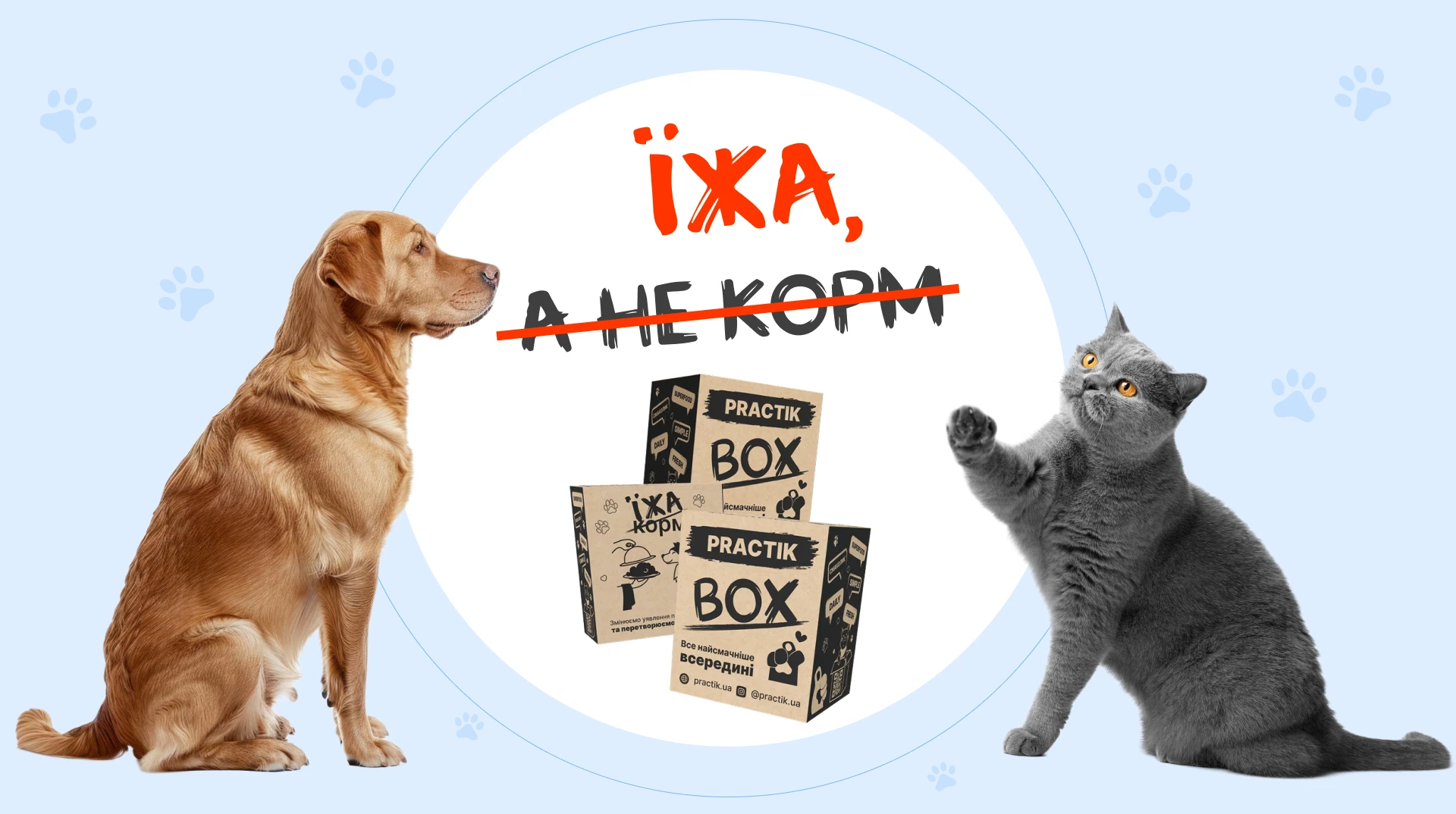 Їжа, а не корм. Як в Україні виготовляють якісне харчування для собак і котів