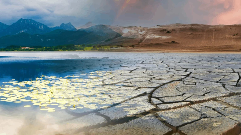 Планета перебуває на шостому циклі вимирання. Інтерв'ю з кліматологинею про потенційні загрози та прогнози на майбутнє