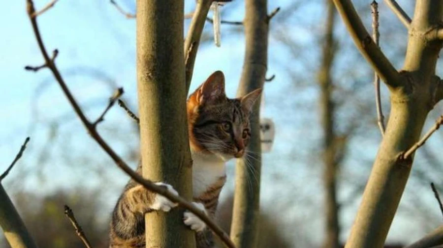 Последние дни года будут необычно теплыми