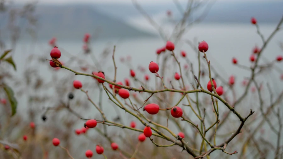 Синоптики прогнозують від 8° морозу до 10° тепла