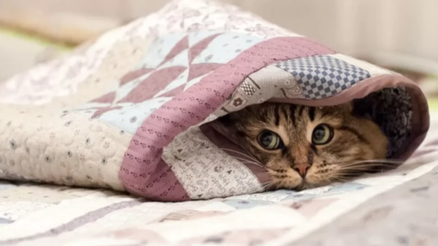 В Україну йде похолодання