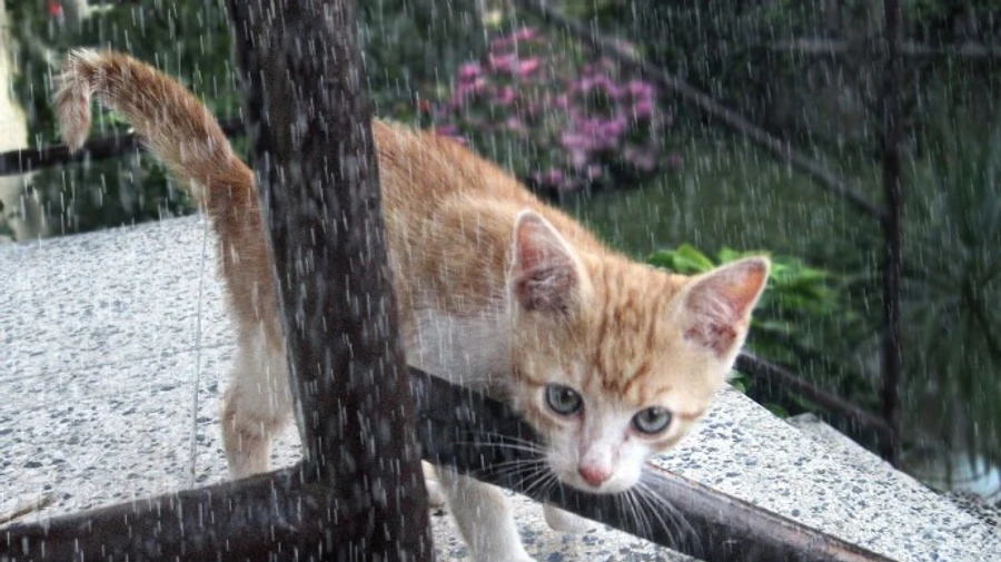 На травневі свята Україну накриють грози