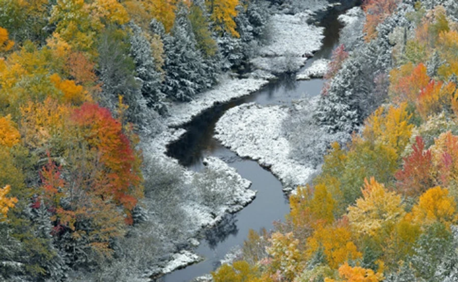 Репетиция зимы: Украину накроет 6 сантиметров снега