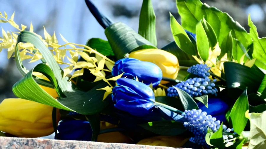 Нех.й шастать: украинцев призывают снимать дорожные знаки и таблички